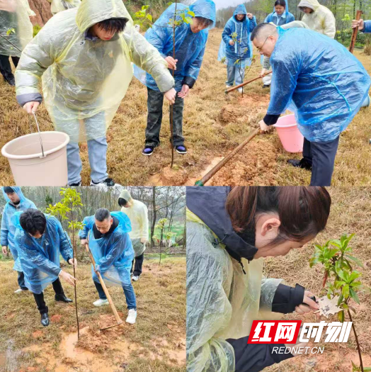 QQ20260401-164028.png