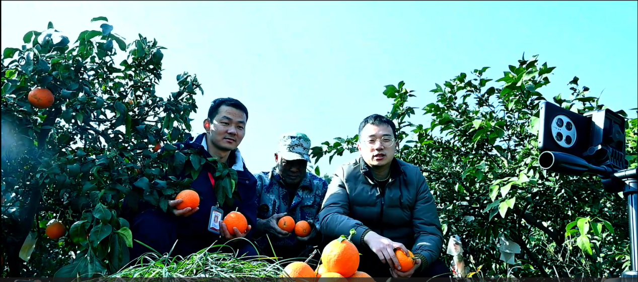 图片2.png 图片2.png